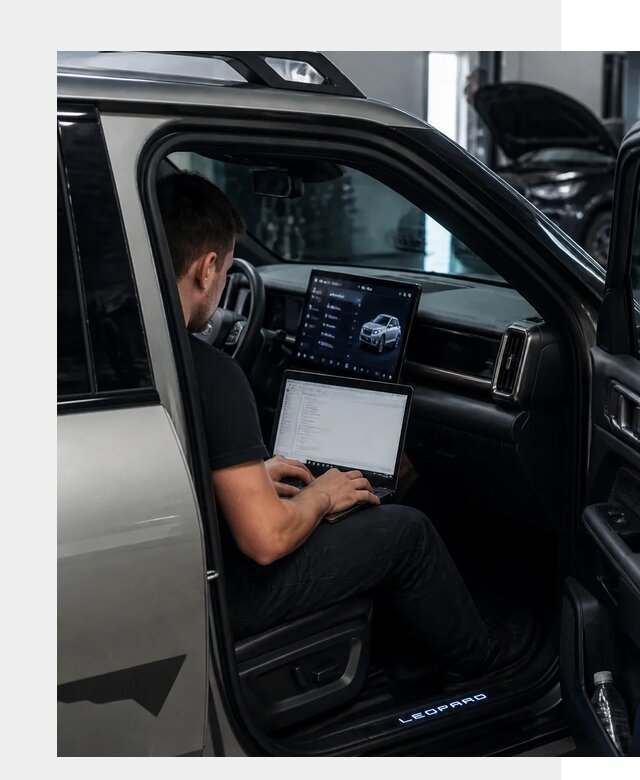 Русификация BYD Leopard 3 в Брянске по цене от 21394 р. | ФастМобиль-Бнк